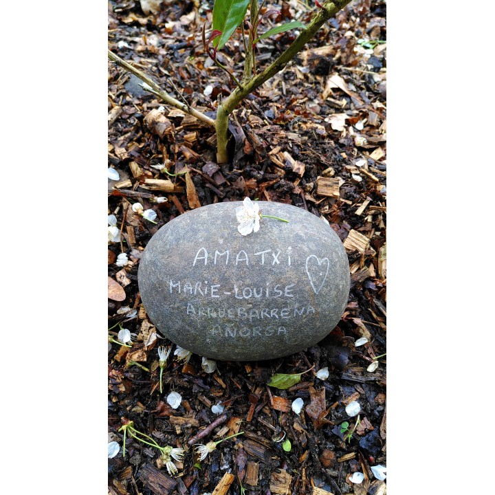 Planter un arbre souvenir en hommage à un proche