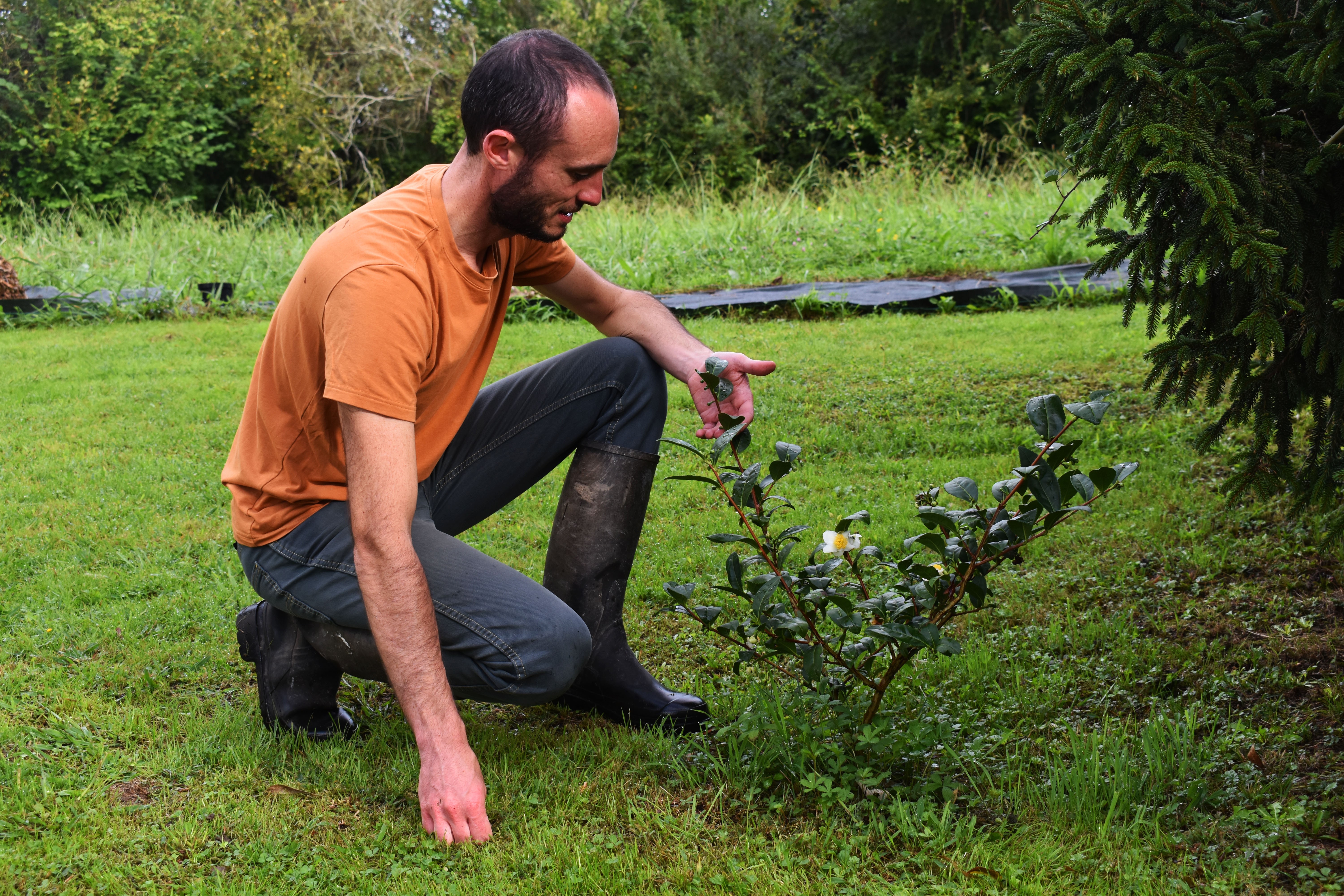 Adrien Arrueabarrena Gueriteau - producteur au Pays Basque